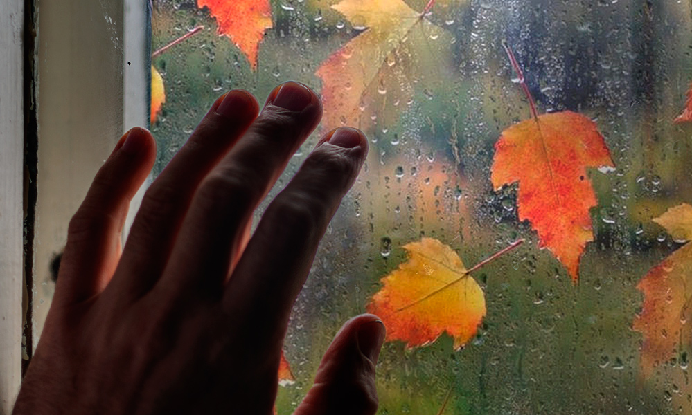 В стекла окон стучал. Осень дождь за окном. Осень дождь окно. Листья на окна. Осенний лист на стекле.
